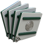 CAT response scales structured field inspections under surge